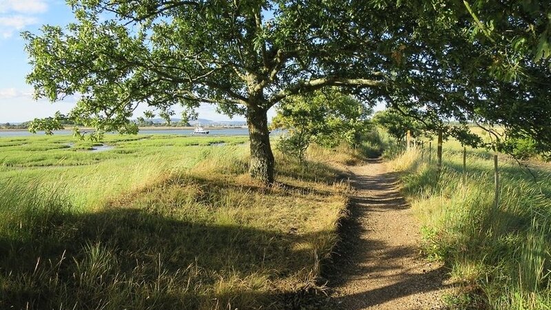 A quiet walk near Itchenor Caravan Park, West Sussex