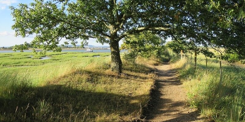 A quiet walk near Itchenor Caravan Park, West Sussex