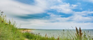 The Aberdeenshire coast, near Wester Bonnyton Farm