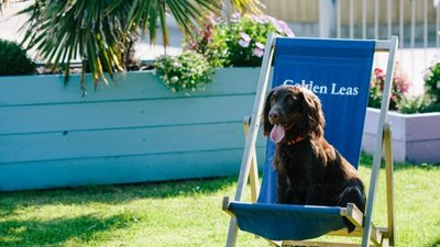 Golden Leas - Golden Leas is a dog-friendly holiday park