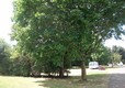 DSCF5039