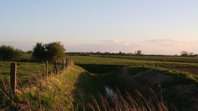 Drain leading to Four Hundred Acre Drain NW of Hogsthorpe (© © Copyright Chris (http://www.geograph.org.uk/profile/79357) and licensed for reuse (http://www.geograph.org.uk/reuse.php?id=4454826) under this Creative Commons Licence (https://creativecommons.org/licenses/by-sa/2.0/).)