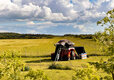 Go Wild Thetford Camping in Norfolk