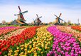 holiday in the Netherlands