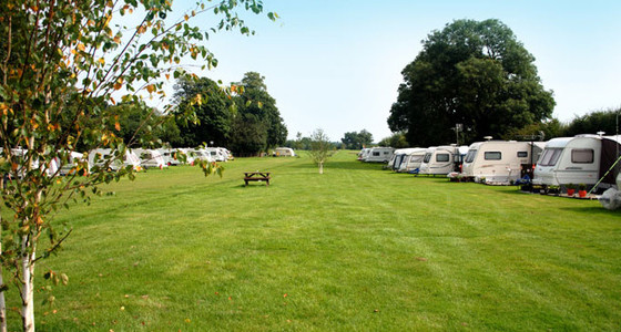 Burrows Park, Great Ouseburn, North Yorkshire