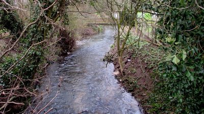 Westbury Brook, Westbury-on-Severn  (© © Copyright Jaggery (https://www.geograph.org.uk/profile/39302) and licensed for reuse (http://www.geograph.org.uk/reuse.php?id=4324721) under this Creative Commons Licence (https://creativecommons.org/licenses/by-sa/2.0/).)