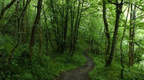 Footpath above Matlock Bath  (© © Copyright Chris Gunns (https://www.geograph.org.uk/profile/13385) and licensed for reuse (https://www.geograph.org.uk/reuse.php?id=5424255) under this Creative Commons Licence (https://creativecommons.org/licenses/by-sa/2.0/).)