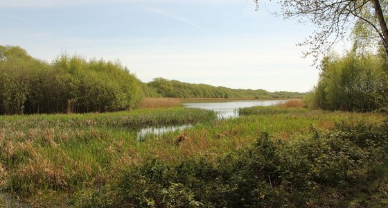 Langdale Lakes, Lincoln, Lincolnshire