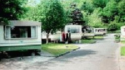 Picture of Beech Grove Caravan and Camping Park, Kerry