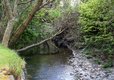 Caravan park in North Wales