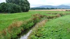 Eller Beck Used as Part of Stokesley (© © Copyright Mick Garratt (https://www.geograph.org.uk/profile/343) and licensed for reuse (http://www.geograph.org.uk/reuse.php?id=40400) under this Creative Commons Licence (https://creativecommons.org/licenses/by-sa/2.0/).)