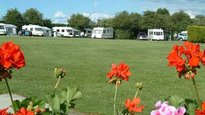 Caravan park Cambridge - Highfield Farm Touring Park