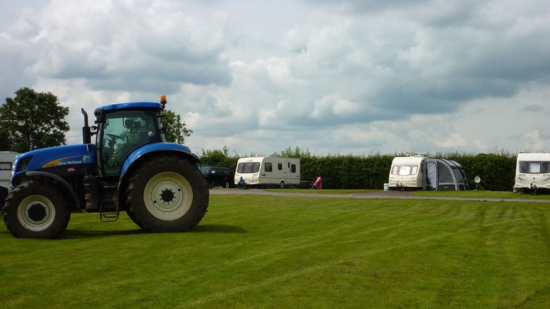 Camping pitches at Merkins Farm