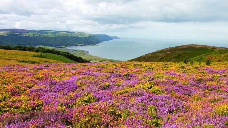 Riverside Caravan and Camping, South Molton, Devon