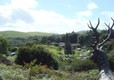 Woodlands Caravan Park Devils Bridge, Aberystwyth