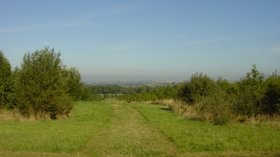 Foxley Wood, Linton  (© © Copyright Sue Adair (https://www.geograph.org.uk/profile/1657) and licensed for reuse (http://www.geograph.org.uk/reuse.php?id=64184) under this Creative Commons Licence (https://creativecommons.org/licenses/by-sa/2.0/).)