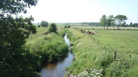 The River Wampool, Micklethwaite close to the caravan site (© © Copyright JThomas (https://www.geograph.org.uk/profile/35313) and licensed for reuse (http://www.geograph.org.uk/reuse.php?id=5004640) under this Creative Commons Licence (https://creativecommons.org/licenses/by-sa/2.0/).)