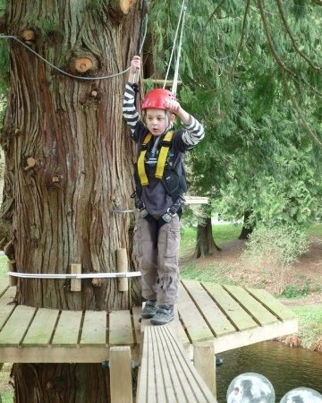 Try the high ropes at River Dart Country Park campsite in Devon