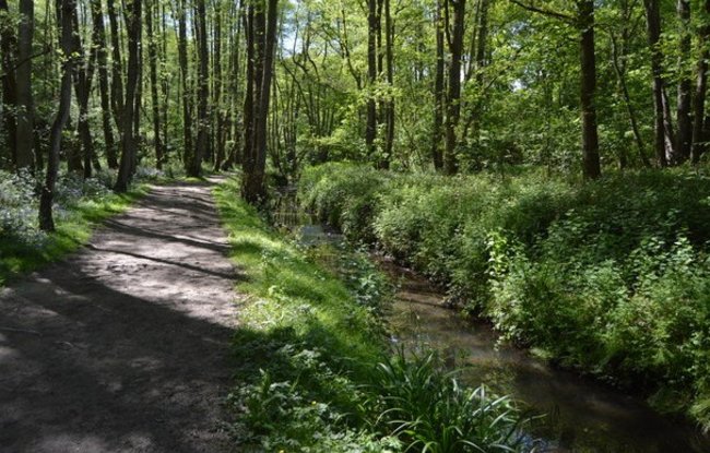 Tunbridge Wells Circular Walk link path by the River Grom  (© © Copyright N Chadwick (https://www.geograph.org.uk/profile/3101) and licensed for reuse (https://www.geograph.org.uk/reuse.php?id=5572757) under this Creative Commons Licence (https://creativecommons.org/licenses/by-sa/2.0/).)