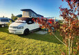 Go Wild Thetford Camping in Norfolk
