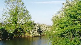 Pevensey Haven in May, East Sussex  (© © Copyright nick macneill (https://www.geograph.org.uk/profile/37997) and licensed for reuse (https://www.geograph.org.uk/reuse.php?id=1476910) under this Creative Commons Licence (https://creativecommons.org/licenses/by-sa/2.0/).)
