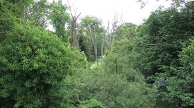 Former Hereford & Gloucester Canal by Moorend Farm  (© © Copyright Oast House Archive (https://www.geograph.org.uk/profile/10354) and licensed for reuse (https://www.geograph.org.uk/reuse.php?id=4639364) under this Creative Commons Licence (https://creativecommons.org/licenses/by-sa/2.0/).)
