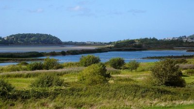 Conwy Nature Reserve  (© © Copyright Anthony Parkes (https://www.geograph.org.uk/profile/45586) and licensed for reuse (https://www.geograph.org.uk/reuse.php?id=3676182) under this Creative Commons Licence (https://creativecommons.org/licenses/by-sa/2.0/).)