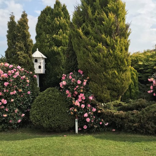 Elm Tree Farm Certificated Site Sandbach Cheshire