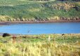 Pebble Bank Caravan Park