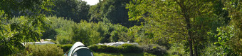 Park's area