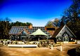 7-IMG_7869