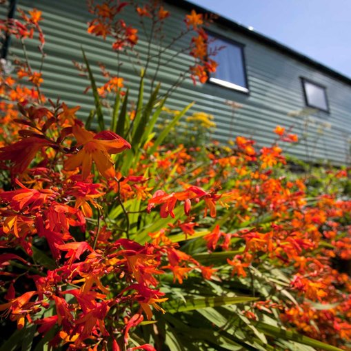 Carnon Downs Caravan Site - Practical Caravan