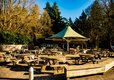 6-IMG_7870