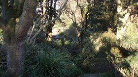 Devonshire Road Rock Gardens (© jolmartyn [CC BY-SA 3.0  (https://creativecommons.org/licenses/by-sa/3.0)], via Wikimedia Commons (original photo: https://commons.wikimedia.org/wiki/File:Devonshire_Road_Rock_Gardens_-_panoramio_(3).jpg))