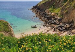 Tehidy Holiday Park an Award-Winning Holiday Park Near Redruth & Portreath, Cornwall