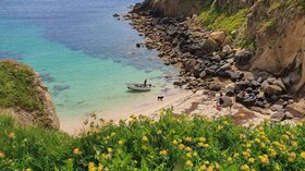 Tehidy Holiday Park an Award-Winning Holiday Park Near Redruth & Portreath, Cornwall