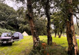 Go Wild Thetford Camping in Norfolk