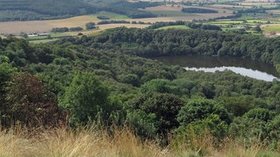 Garbutt Wood Nature Reserve and Gormire SSSI  (© © Copyright Pauline E (https://www.geograph.org.uk/profile/13903) and licensed for reuse (http://www.geograph.org.uk/reuse.php?id=4125790) under this Creative Commons Licence (https://creativecommons.org/licenses/by-sa/2.0/).)