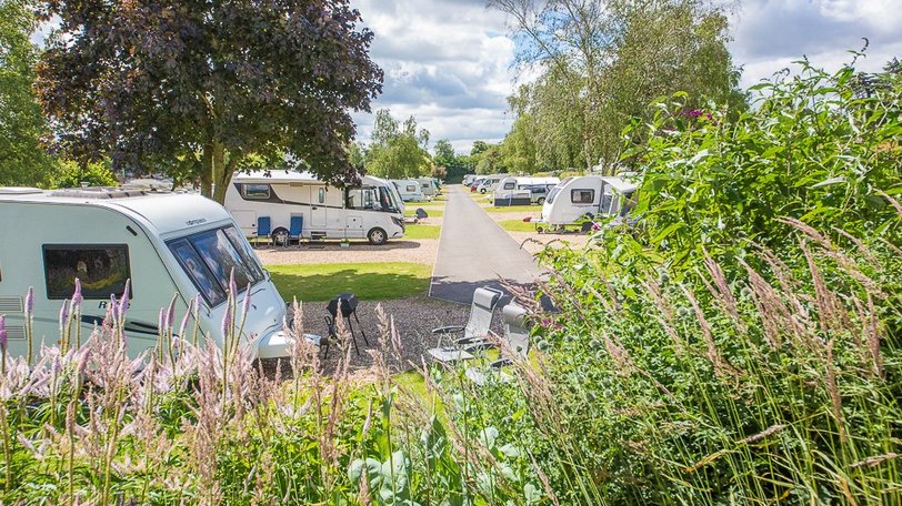 Holidays in Oxfordshire - Swiss Farm Touring and Camping, Henley-on-Thames