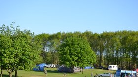 Suffolk Forest Campsite - Forest Camping - Tangham Campsite, Woodbridge, Suffolk