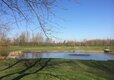 Thorney (3)
