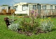 Picture of Dronwy Caravan Park, Isle of Anglesey