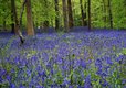 East Sussex holidays