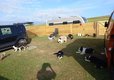 Dog-friendly campsite, Perthshire, Scotland
