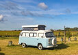 Go Wild Thetford Camping in Norfolk