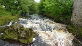 River Ribble near Kings Mill Lane, Settle  (© © Copyright Alexander P Kapp (http://www.geograph.org.uk/profile/3216) and licensed for reuse (http://www.geograph.org.uk/reuse.php?id=2232531) under this Creative Commons Licence (https://creativecommons.org/licenses/by-sa/2.0/).)