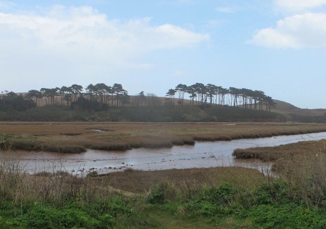 Budleigh Salterton (© Claudia Dowell)