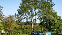 Forest of Dean Holidays - Greenacres Campsite,
Gloucestershire