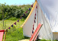 Hunstanton Camping & Glamping King's Lynn, Norfolk