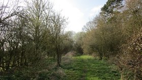 Course of the former Beverley to York railway line  (© © Copyright Jonathan Thacker (https://www.geograph.org.uk/profile/46229) and licensed for reuse (https://www.geograph.org.uk/reuse.php?id=5740543) under this Creative Commons Licence (https://creativecommons.org/licenses/by-sa/2.0/).)